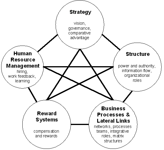 Organizational Design