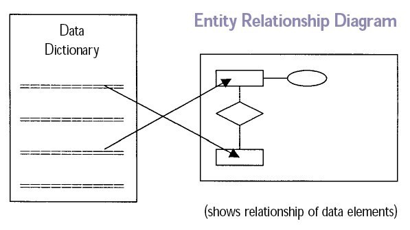 Data Design